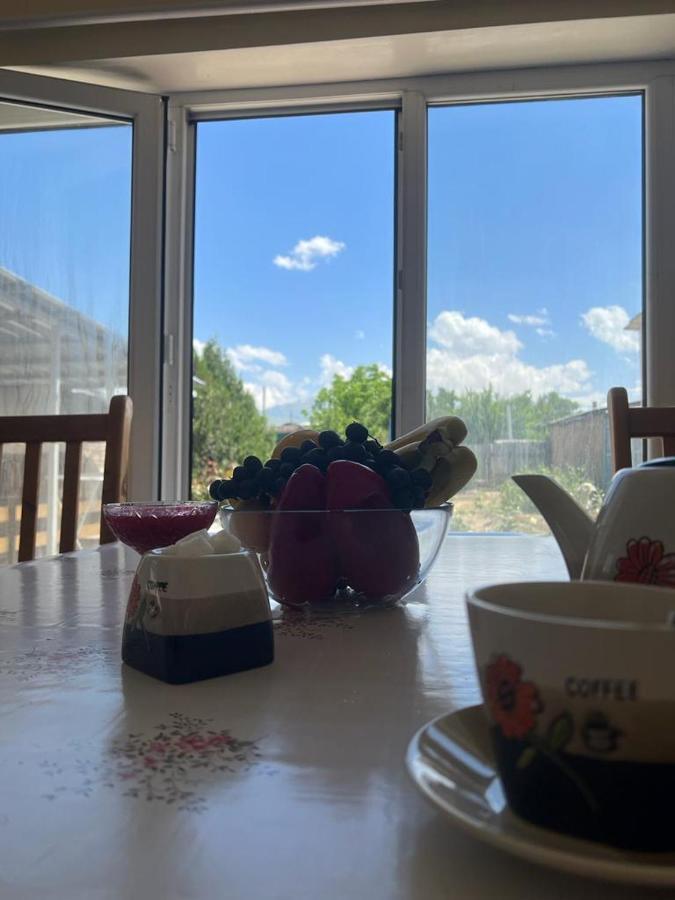 The Nest Hostel Karakol Kültér fotó
